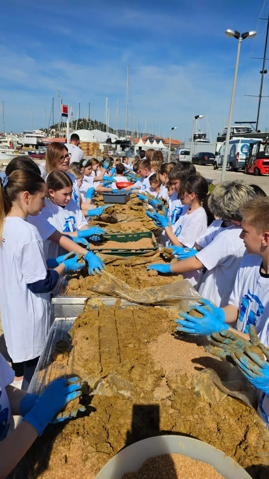 Schüler aus Tribunj reinigen das Meer