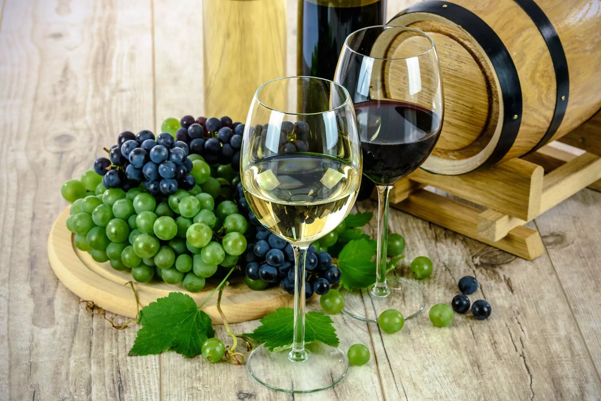 Der Wein aus Istrien verspricht dieses Jahr viel!