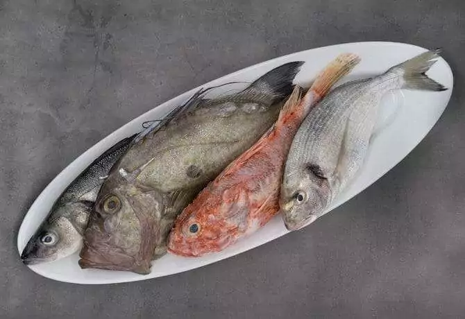 Welcher Fisch ist Wildfang - welcher kommt aus der Aquakultur?