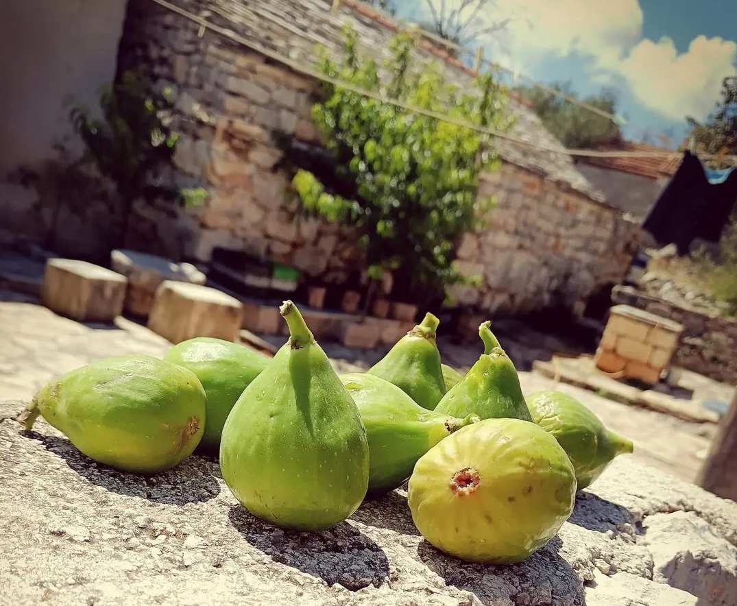 Die Feige frisch, gesund und unglaublich lecker!